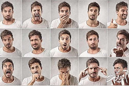 هر احساسی روی چه اندامی اثر دارد؟